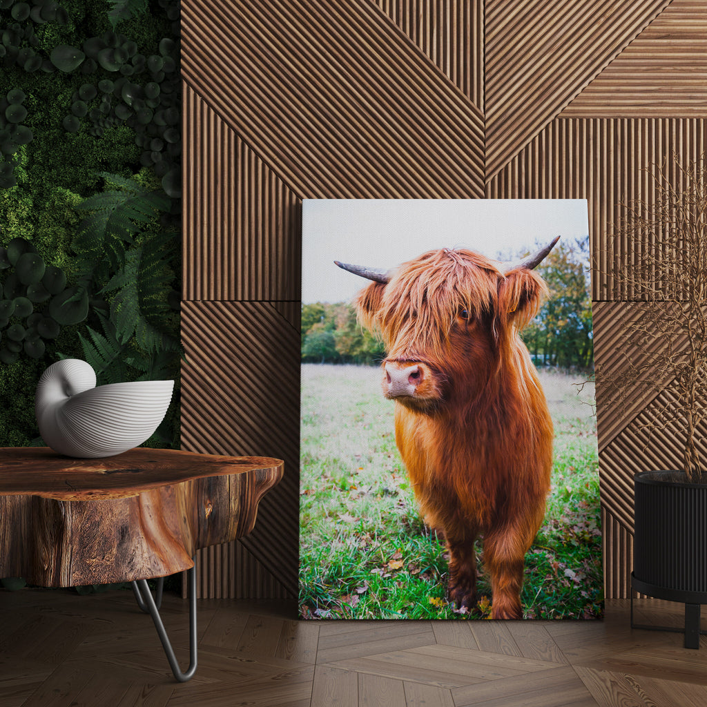 Highland Cow Print | Canvas wall art print by Wall Nostalgia. FREE SHIPPING on all orders. Custom Canvas Prints, Made in Calgary, Canada | Large canvas prints, framed canvas prints, Highland Cow Wall Art Print | Canvas art print, Highland Cow Print, Highland Cattle Print, Highland Cow Canvas, Highland Cattle Canvas