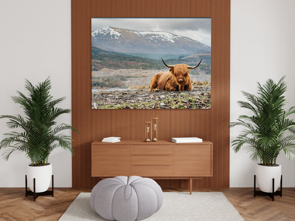 Highland Cow Print | Canvas wall art print by Wall Nostalgia. FREE SHIPPING on all orders. Custom Canvas Prints, Made in Calgary, Canada | Large canvas prints, framed canvas prints, Highland Cow Canvas Print | Canvas wall art, Highland Cattle Art, Highland Cow Canvas, Highland Cow Art Print, Highland Cow Wall Art Print