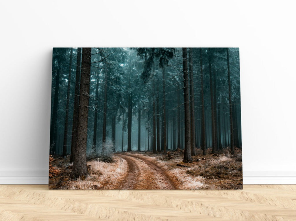 Forest Canvas Print | Canvas wall art print by Wall Nostalgia. FREE SHIPPING on all orders. Custom Canvas Prints, Made in Calgary, Canada | Large canvas prints, framed canvas prints, Forest Canvas Wall Art, Forest Print, Forest Art Print, Forest Canvas, Tree Canvas, Large Canvas Art, Large Canvas Print, Tree Art Print