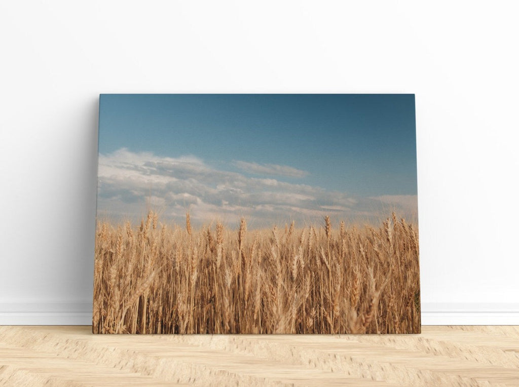 Prairie Wheat Field Print | Canvas wall art print by Wall Nostalgia. FREE SHIPPING on all orders. Custom Canvas Prints, Made in Calgary, Canada | Large canvas prints, framed canvas prints, Wheat field print, Wheat Art, Wheat Field Art, Wheat Print, Wheat Field Wall Art, Prairie print, Prairie art print, Canadian Art