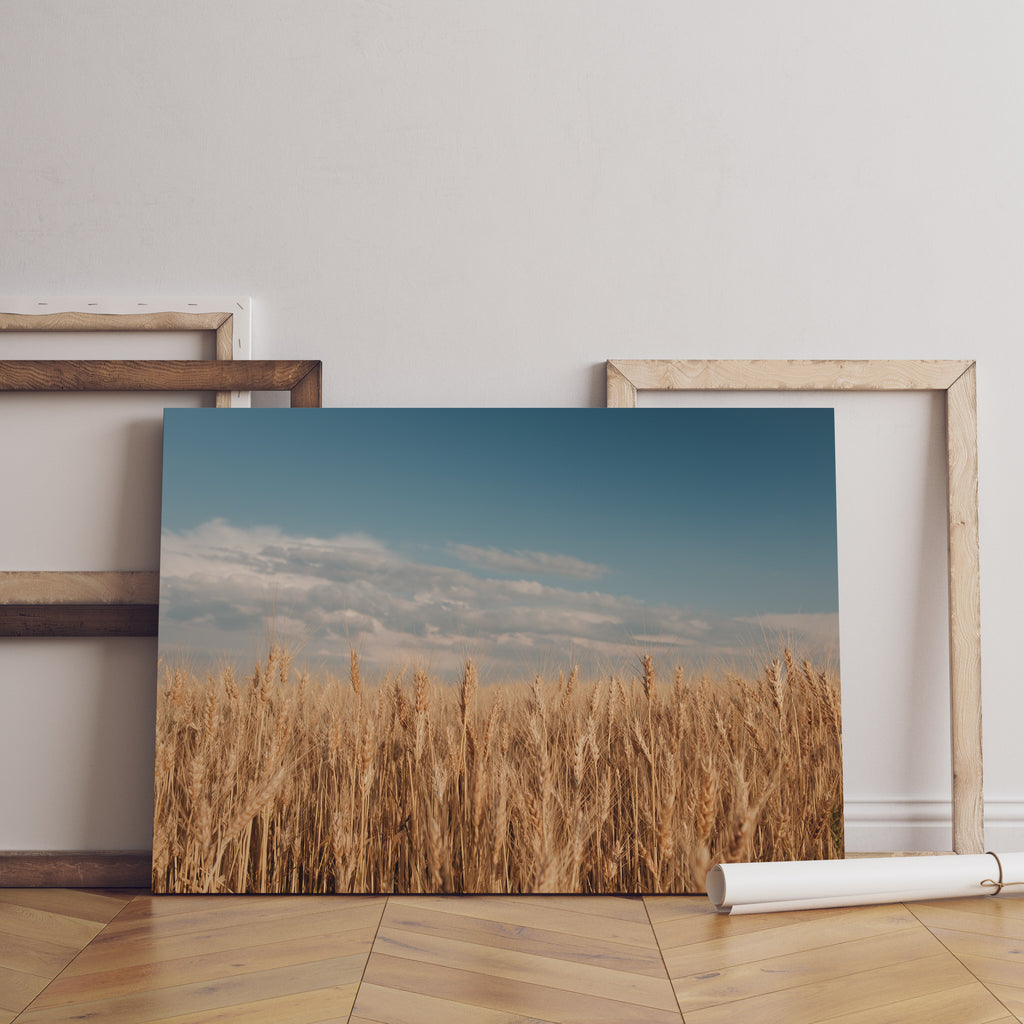 Prairie Wheat Field Print | Canvas wall art print by Wall Nostalgia. FREE SHIPPING on all orders. Custom Canvas Prints, Made in Calgary, Canada | Large canvas prints, framed canvas prints, Wheat field print, Wheat Art, Wheat Field Art, Wheat Print, Wheat Field Wall Art, Prairie print, Prairie art print, Canadian Art