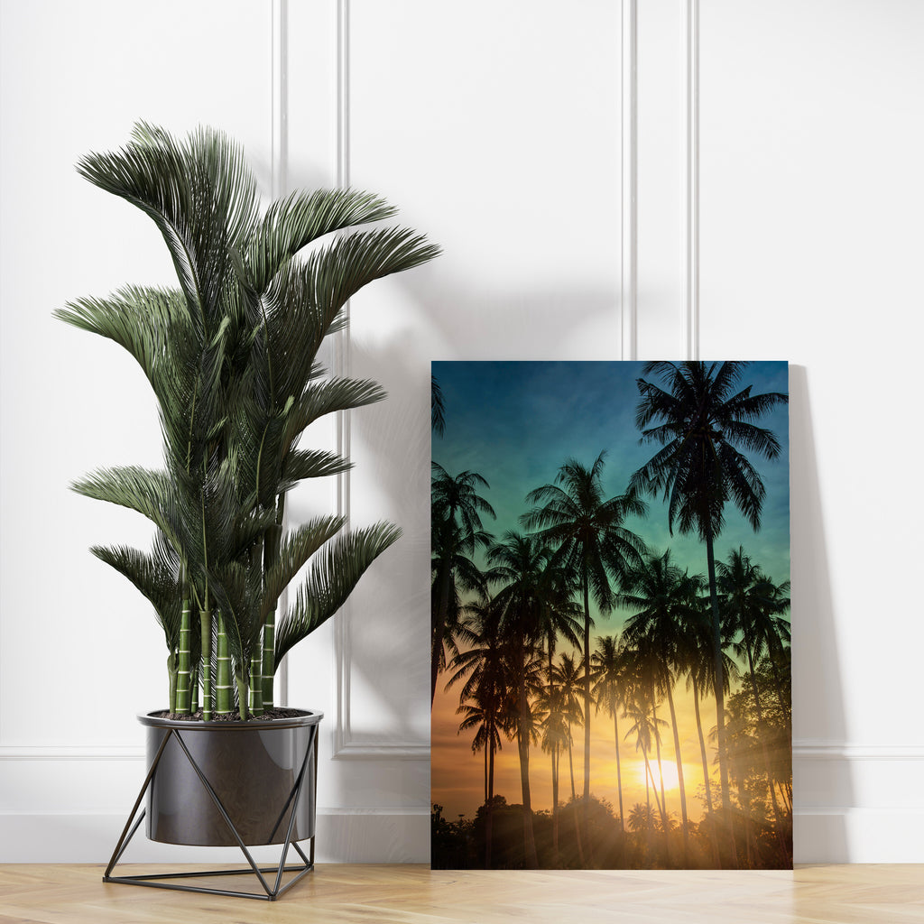 Sunset Palm Tree Print | Canvas wall art print by Wall Nostalgia. FREE SHIPPING on all orders. Custom Canvas Prints, Made in Calgary, Canada | Large canvas prints, framed canvas prints, Palm Tree Canvas Print | Palm Tree Wall Art, Palm Tree Print, Palm Tree Art Print, Sunset Canvas, Palm Tree Canvas, Palm Tree Poster