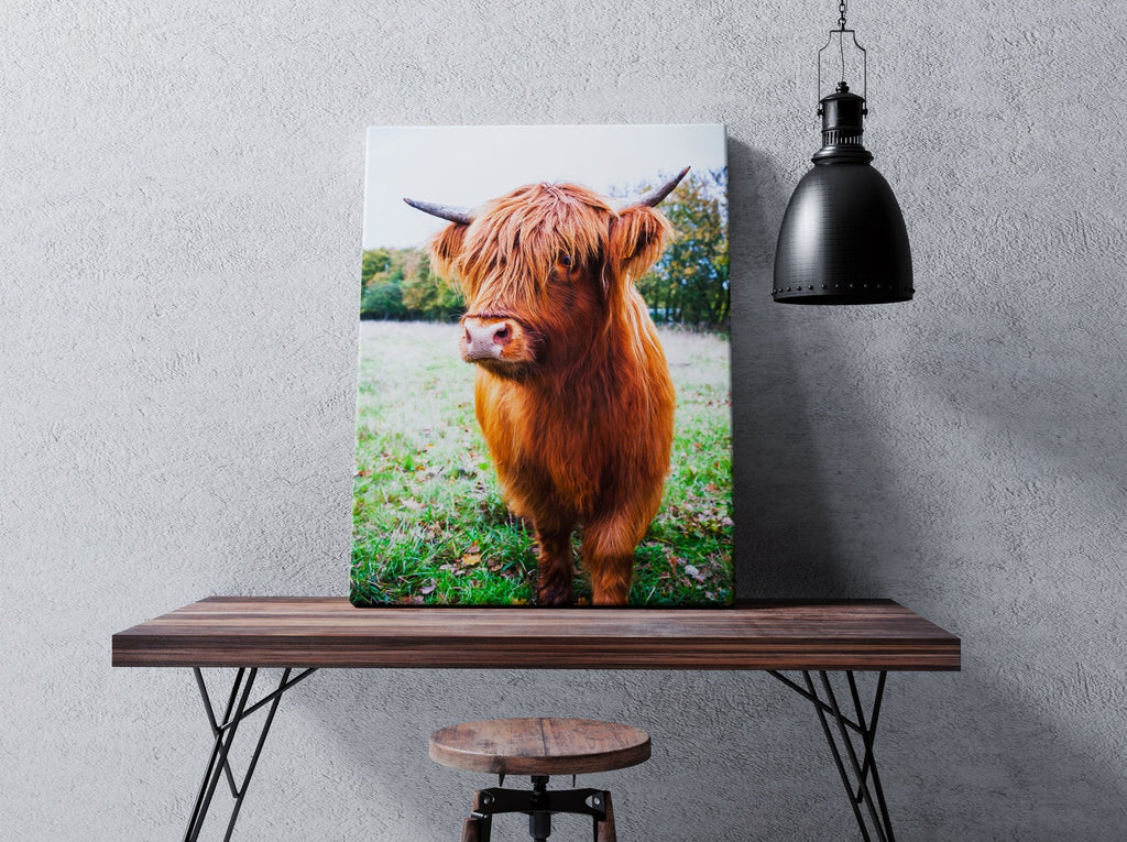Highland Cow Print | Canvas wall art print by Wall Nostalgia. FREE SHIPPING on all orders. Custom Canvas Prints, Made in Calgary, Canada | Large canvas prints, framed canvas prints, Highland Cow Wall Art Print | Canvas art print, Highland Cow Print, Highland Cattle Print, Highland Cow Canvas, Highland Cattle Canvas